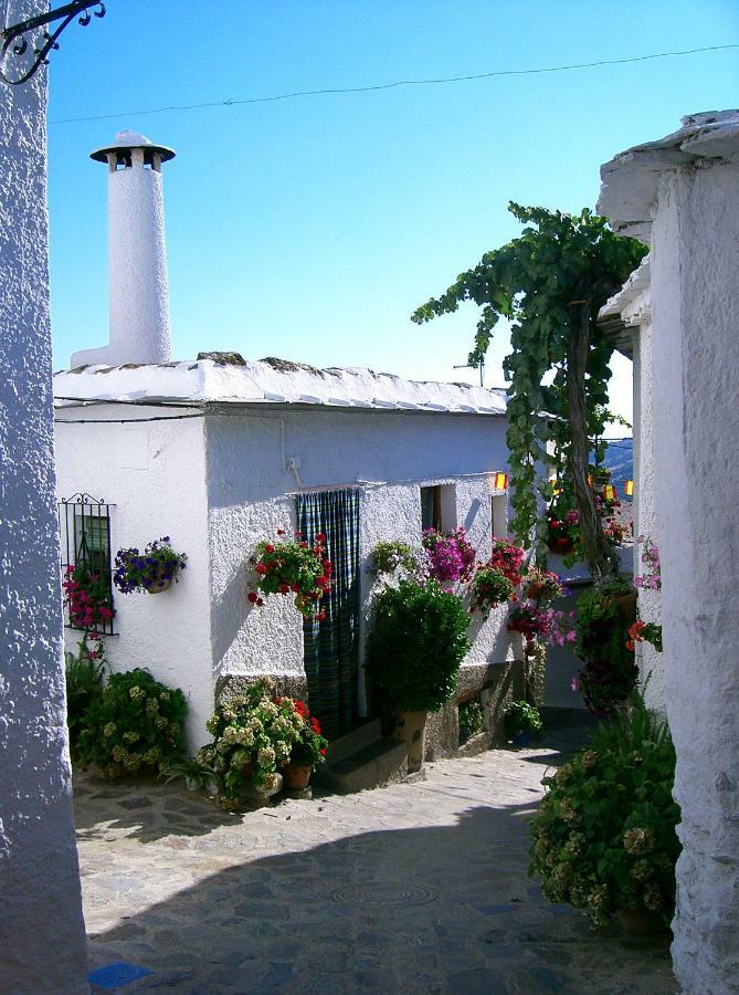 Casita Buena Vista Daire Bubión Dış mekan fotoğraf